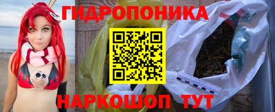 a pvp Краснознаменск