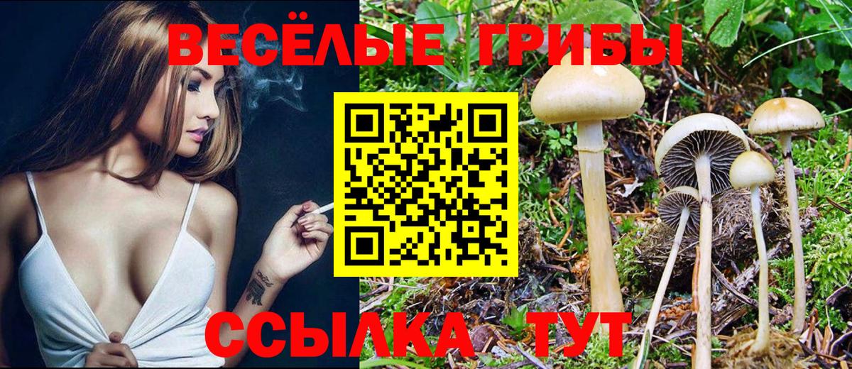 Галлюциногенные грибы мицелий Карачаевск