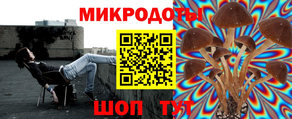 Псилоцибиновые грибы ЛСД  Вход с VPN  Карачаевск 