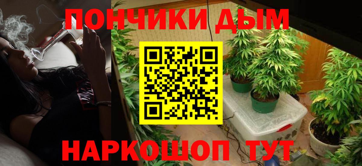 Конопля индика Карачаевск